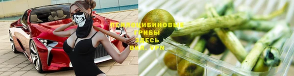тгк Мегион