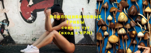 прущая мука Абаза
