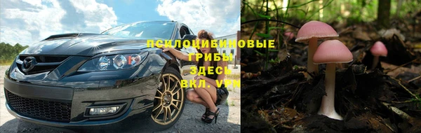первитин Абинск